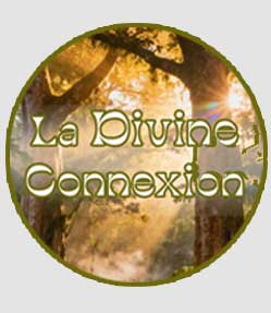 logo ladivineconnexion